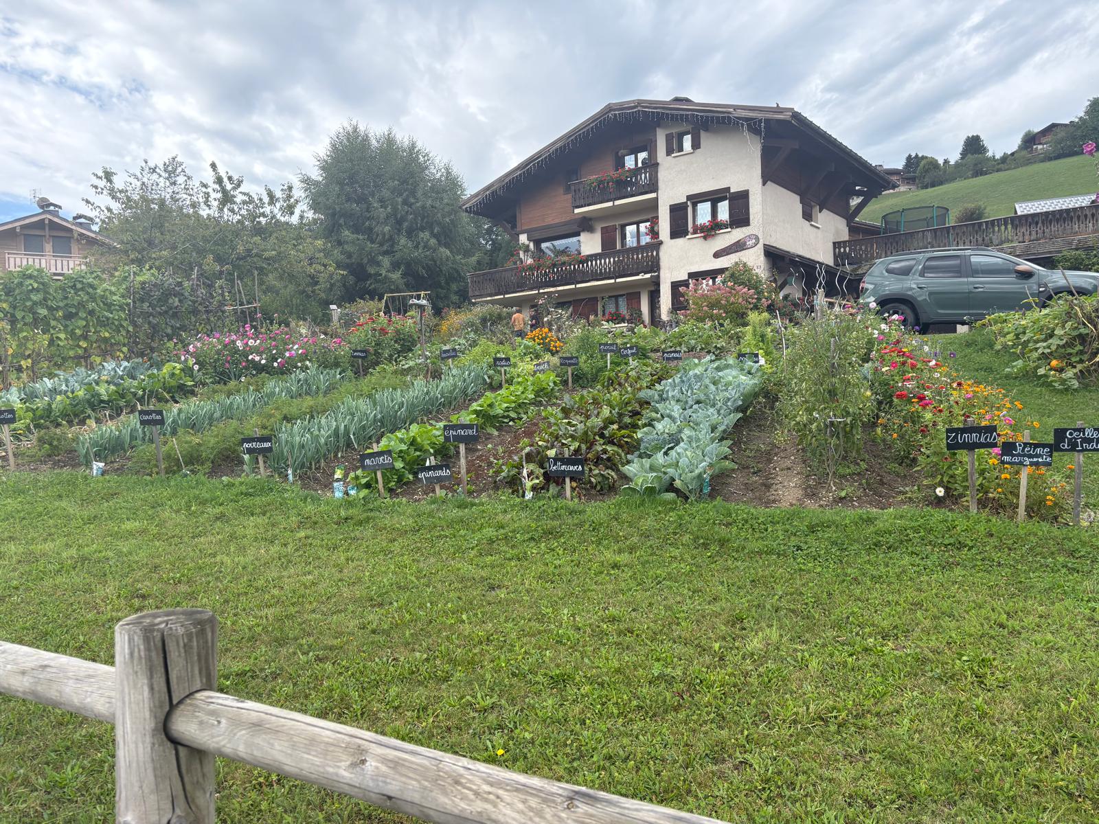 Leo Test Landscaping photo 4